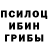 Галлюциногенные грибы Cubensis Tatiana Khomenko