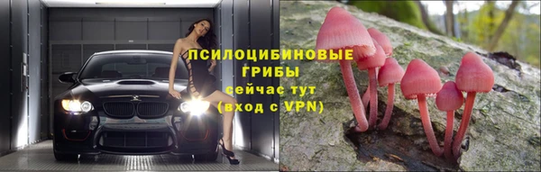 трава Баксан