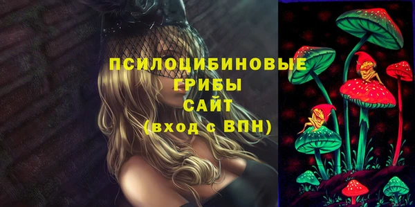дурь Балахна